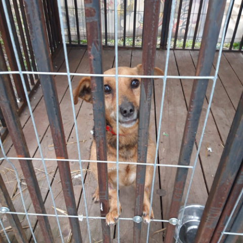 Dorota Dróżdź Komoda