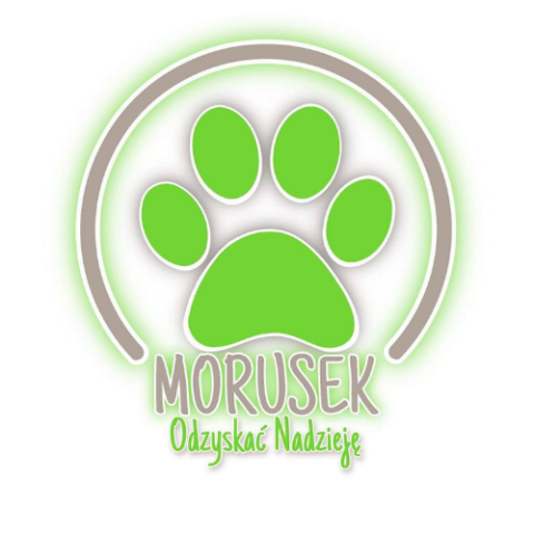 Fundacja Morusek odzyskać nadzieję