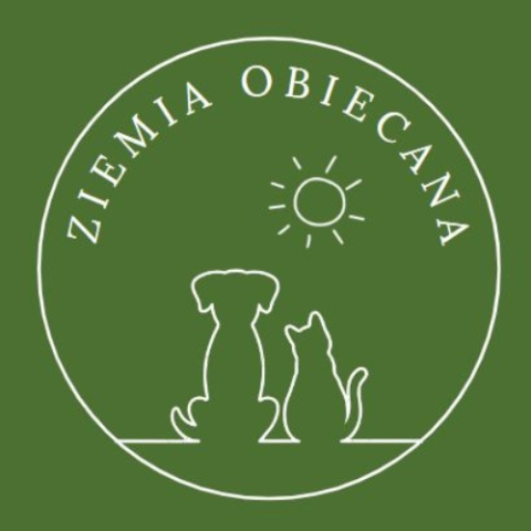 Fundacja ziemia obiecana