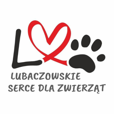 Lubaczowskie serce dla zwierząt