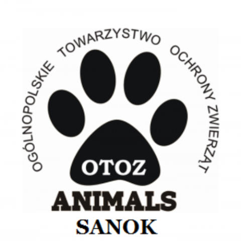 OTOZ Sanok