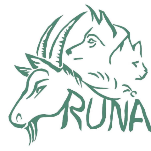 Runa