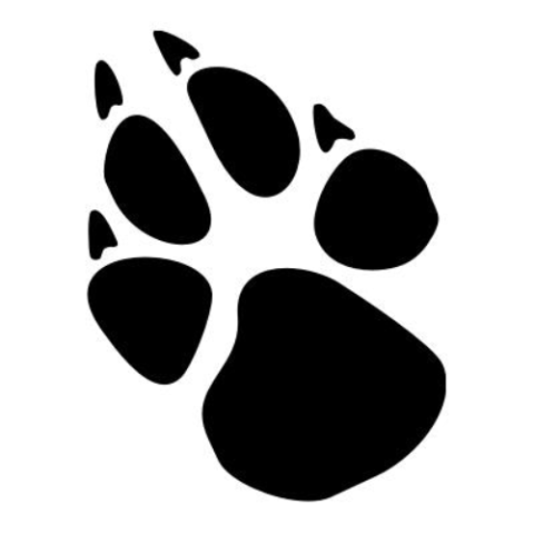 Stowarzyszenie pomocy zwierzętom łapa