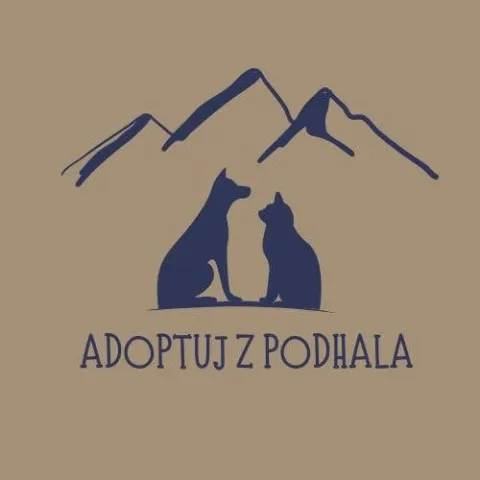 Adoptuj z Podhala