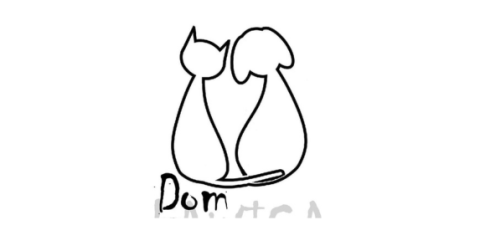 Fundacja canine nose