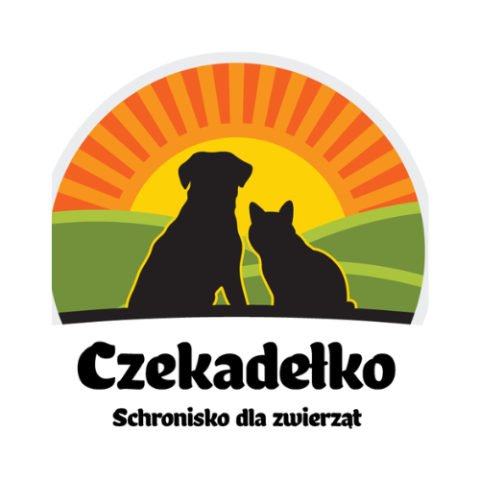 Czekadełko