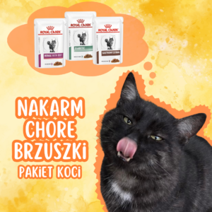 Nakarm chore brzuszki – Pakiet Koci - Wolontariat Schronisko Płock