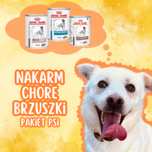 Nakarm chore brzuszki – Pakiet Psi - Wolontariat Schronisko Płock