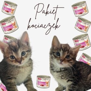 Pakiet Kociaczek - Krakowska Fundacja Stawiamy Na Łapy