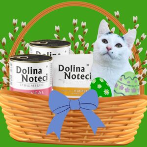 Pakiet Wielkanocny Kot - Wolontariat Schronisko Płock